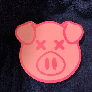 JeffreeXShane lip bundle